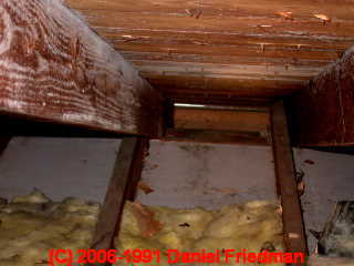 Photograph: typical mold on attic side of ceiling drywall after a roof leaks - © Daniel Friedman