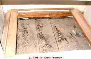 Photograph of inspecting below a bath vanity drawer for hidden mold.