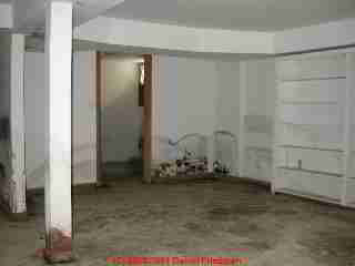 Moldy apartment (C) Daniel Friedman