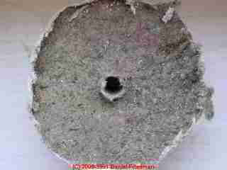 Photograph: of mold contamination on cavity side of drywall, exposed by a wall test cut