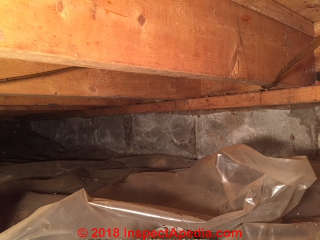 Carpenter ant frass on indoor surfaces leads to further investigation (C) InspectApedia.com  RW