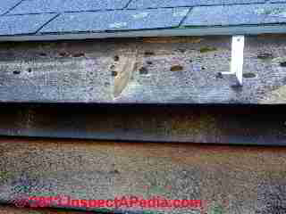 Carpenter bee damage to a fascia board © Daniel Friedman at InspectApedia.com