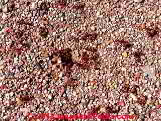 NOT a Carpenter ant infestation evidence © Daniel Friedman at InspectApedia.com