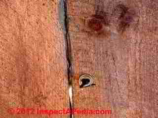 Variations in circular saw cut marks in wood © D Friedman at InspectApedia.com 