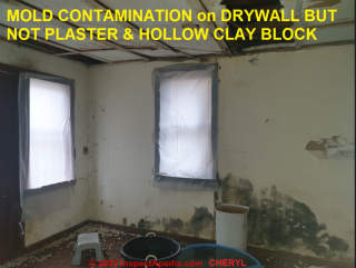 Mold growth on gypcum board over plastrer & clay block walls  (C) InspectApedia.com Cheryl