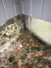 Apparent carpenter ant frass combined with possible building insulation (C) InspectApedia.com Bill