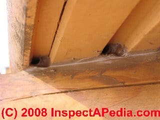 Inspecting log home corners