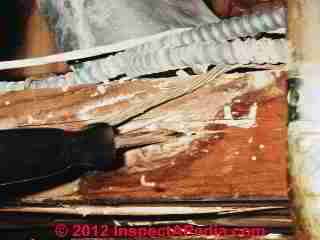 Termites in sill plates © Daniel Friedman at InspectApedia.com