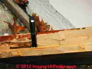 Carpenter Ant Damage © Daniel Friedman at InspectApedia.com