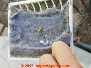 Lint clogged clothes dryer exhaust vent cleanout to avoid fire hazard (C) Daniel Friedman Brian Gilligan